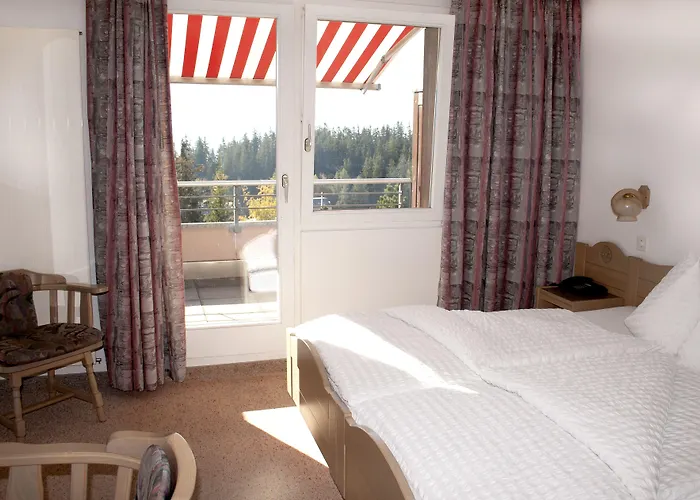 酒店 Valaisia Montana, A Faern Collection