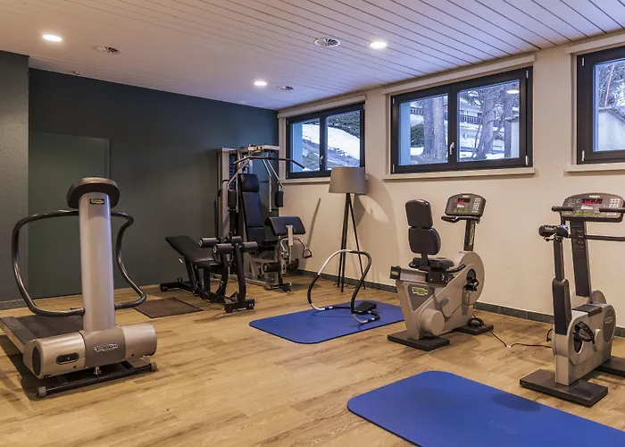 Valaisia Montana, A Faern Collection 酒店 4*