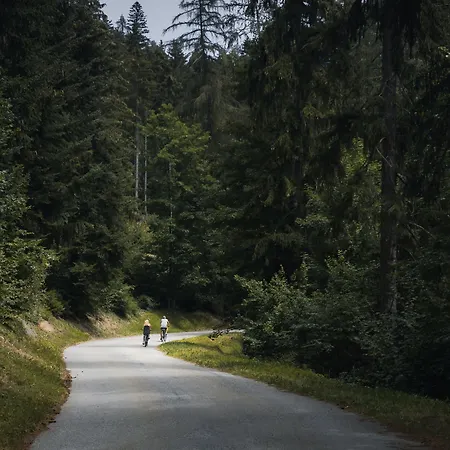 Отель Valaisia Montana, A Faern Collection Кран-Монтана