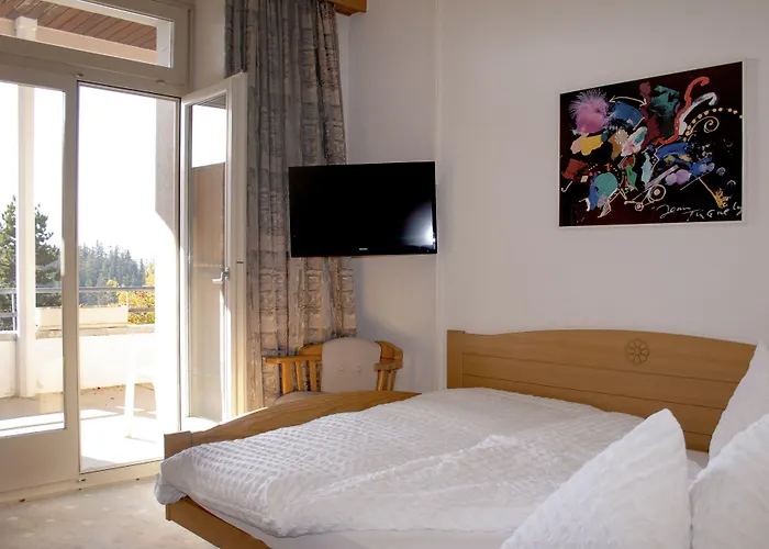 Valaisia Montana, A Faern Collection كرانز مونتانا