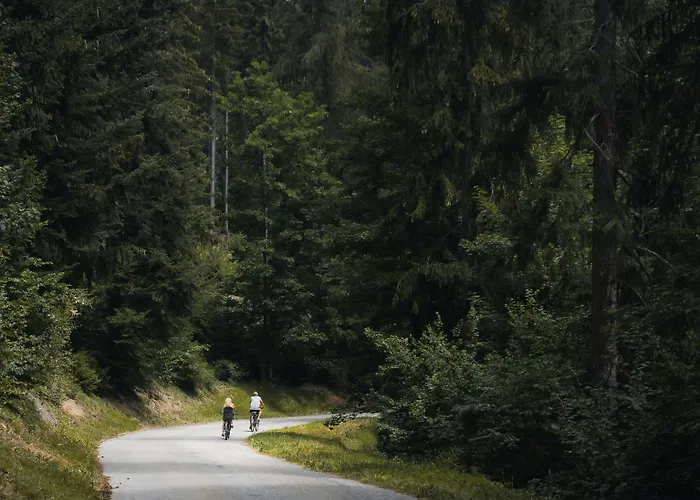 فندق Valaisia Montana, A Faern Collection كرانز مونتانا